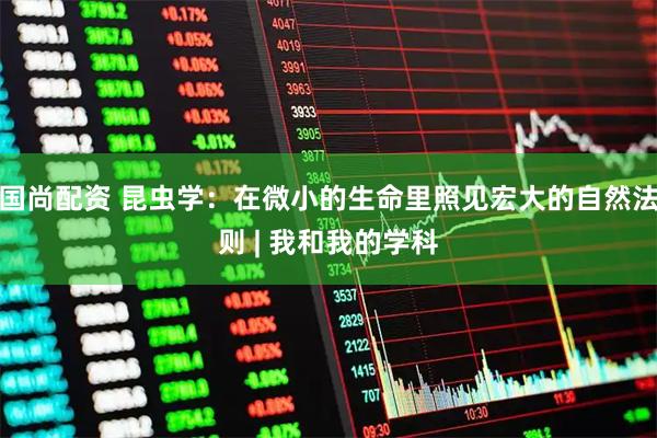 国尚配资 昆虫学：在微小的生命里照见宏大的自然法则 | 我和我的学科